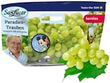 Aktuelles Paradies-Trauben kernlos Angebot bei REWE in Mannheim ab 2,79 €