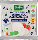 Bio Mozzarella di bufala Campana im aktuellen Prospekt bei Netto Marken-Discount in Südbrookmerland
