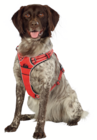 Geschirr Pathfinder im Fressnapf Prospekt Geschirr Pathfinder von Dogs Creek im aktuellen Fressnapf Prospekt für 47,99 €