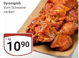 Gyrosspieß im Angebot bei GLOBUS in Braunschweig Gyrosspieß Angebote bei GLOBUS Braunschweig für 10,90 €