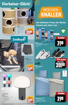 LED-Lampe im REWE Prospekt "Dein Markt" mit 28 Seiten (Frankfurt (Main))