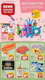 REWE Discounter Prospekt der aktuellen Woche mit 30 Seiten, gültig von 03.11.2025 bis 08.11.2025, in Lengerich und Umgebung Aktueller REWE Discounter Prospekt in Lengerich und Umgebung, "Dein Markt" mit 30 Seiten, 03.11.2025 - 08.11.2025