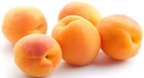 Aprikosen bei REWE im Barsbek Prospekt für 1,69 €