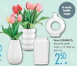Vase CERAMICS Angebote bei Trends Castrop-Rauxel für 2,50 €