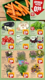 Rote Bete Angebot & Preis im aktuellen REWE Prospekt Rote Bete Angebot im aktuellen REWE Prospekt auf Seite 7