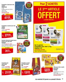 Promo Litière agglomérante chat dans le catalogue Carrefour du moment à la page 49