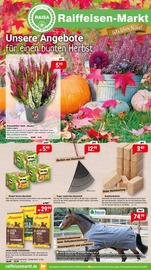 Aktueller Raiffeisenmarkt Baumärkte Prospekt in Sittensen und Umgebung, "Unsere Angebote für einen bunten Herbst" mit 8 Seiten, 04.10.2025 - 11.10.2025