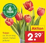 Tulpen von  im aktuellen Netto Marken-Discount Prospekt für 2,29 €