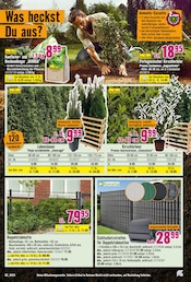 Ähnliche Angebote wie Gartenzaun im Prospekt "Willkommen in Deiner Wachstumszone." auf Seite 10 von Hornbach in Erkelenz
