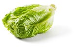 Kopfsalat mit Wurzel Angebot in Kupferzell Kopfsalat mit Wurzel im aktuellen Prospekt bei Lidl in Kupferzell