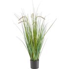 KUNSTPFLANZE 90 cm von Ambia Home für 15,99 € bei XXXLutz im Angebot KUNSTPFLANZE 90 cm von Ambia Home im aktuellen XXXLutz Prospekt