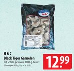 Black Tiger Garnelen Angebote von H & C bei famila Nordost Falkensee für 12,99 €
