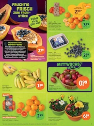 Bananen im tegut Prospekt "tegut… gute Lebensmittel" auf Seite 5