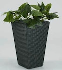 Panier pour plantes Blommor à Jysk dans Marle