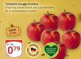 Tafeläpfel aus der Erntebox bei GLOBUS im Ludwigshafen Prospekt für 0,79 €