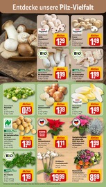 Ähnliche Angebote wie Zitronenbaum im Prospekt "Dein Markt" auf Seite 7 von REWE in Norderstedt