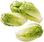 Aktuelles Römersalat Extra fein Angebot bei REWE in Ludwigshafen (Rhein) ab 1,99 €