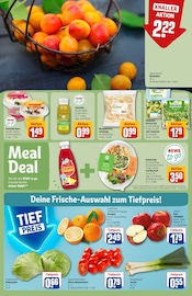 Ähnliche Terrarium Angebote im Prospekt "Dein Markt" von REWE in Heidelberg Ähnliche Angebote wie Terrarium im Prospekt "Dein Markt" auf Seite 6 von REWE in Heidelberg