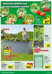 Bio im Hagebaumarkt Prospekt in Wilhelmshaven Aktueller Hagebaumarkt Prospekt mit Bio, "Sonnenstrom tanken? SO günstig geht das!", Seite 4