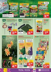 Blumenzwiebeln im Netto Marken-Discount Prospekt in Falkensee Aktueller Netto Marken-Discount Prospekt mit Blumenzwiebeln, "Aktuelle Angebote", Seite 48