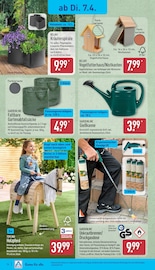 Aktueller ALDI Nord Prospekt mit Steine, "Aktuelle Angebote", Seite 17