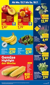 Pflanzen im Lidl Prospekt in Straubing Aktueller Lidl Prospekt mit Pflanzen, "LIDL LOHNT SICH", Seite 3