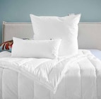 Aktuelles Sommerbett Vegan Dream ca. 135x200 cm Angebot bei Zurbrüggen in Bielefeld ab 34,99 €