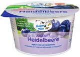 Joghurt Heidelbeere Angebote von Hemme Milch bei REWE Stralsund für 0,79 €