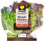 Angebot im Marktkauf Stade (Hansestadt) Prospekt Marktkauf Stade (Hansestadt) Prospekt mit im Angebot für 0,99 €