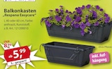 Aktuelles Balkonkasten Respana Easycare Angebot bei Sonderpreis Baumarkt in Göttingen ab 5,99 €