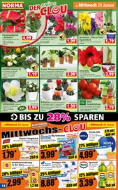 Aktueller Norma Prospekt mit Blumentopf, "Mehr fürs Geld", Seite 14