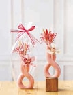 Composition Cymbidium en promo chez U Express Drancy à 10,99 €