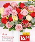 Rosige Umarmung Angebote bei Netto Marken-Discount Weiden für 16,99 €