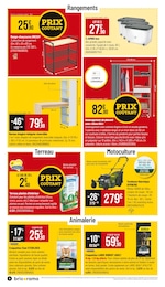 Offre Gazon dans le catalogue Bricorama du moment à la page 4
