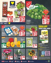 Kohle Angebot im aktuellen EDEKA Prospekt auf Seite 3