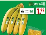 Bio Bananen im Angebot bei Marktkauf in Hagen Bio Bananen Angebote von EDEKA bei Marktkauf Hagen für 1,99 €