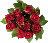 Netto Marken-Discount Saalfeld - Edelrosen Angebot im Prospekt Edelrosen bei Netto Marken-Discount im Saalfeld Prospekt für 2,99 €