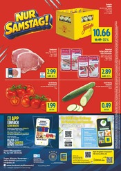 Aktueller diska Prospekt mit Schweinefleisch, "alles an deinem ort.", Seite 12