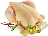 Maishähnchen im Angebot bei REWE in Erkrath Maishähnchen Angebote bei REWE Erkrath für 0,99 €
