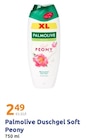 Duschgel Soft von Palmolive im aktuellen Action Prospekt für 2,49 €