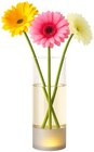 Aktuelle Blumen Angebote bei REWE in Augsburg Aktuelles Glasvase Angebot bei REWE in Augsburg ab 7,99 €