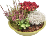 Herbstmix für 9,99 € bei Hornbach im Angebot Herbstmix im aktuellen Hornbach Prospekt