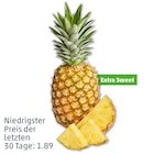 Ananas bei Penny im Schönebeck Prospekt für 1,69 €