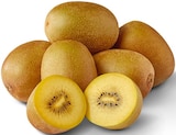 Kiwi Gold Angebote bei Penny Ulm für 1,00 €