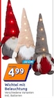 Wichtel mit Beleuchtung von  im aktuellen Action Prospekt für 4,99 €
