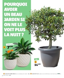 Offre Plantation dans le catalogue Gifi du moment à la page 18