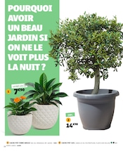 Promos Plante Verte dans le catalogue "VITAMINES DÉCO !" de Gifi Plante Verte en promo dans le catalogue Gifi à la page 18