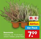Besenheide im Angebot bei Netto Marken-Discount in Duisburg Besenheide Angebote bei Netto Marken-Discount Duisburg für 7,99 €