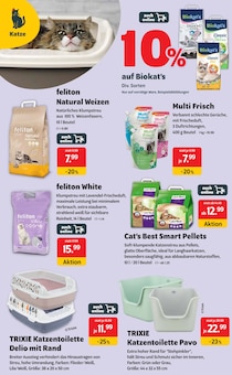 Katzenstreu Angebot im DAS FUTTERHAUS Prospekt, gültig von 10.10.2026 bis 17.10.2026 Katzenstreu Angebot im aktuellen DAS FUTTERHAUS Prospekt auf Seite 10