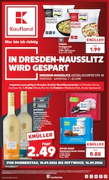 Kaufland Prospekt für Freital mit 74 Seiten Kaufland Prospekt für Freital: "Hier bin ich richtig", 74 Seiten, 10.09.2026 - 16.09.2026